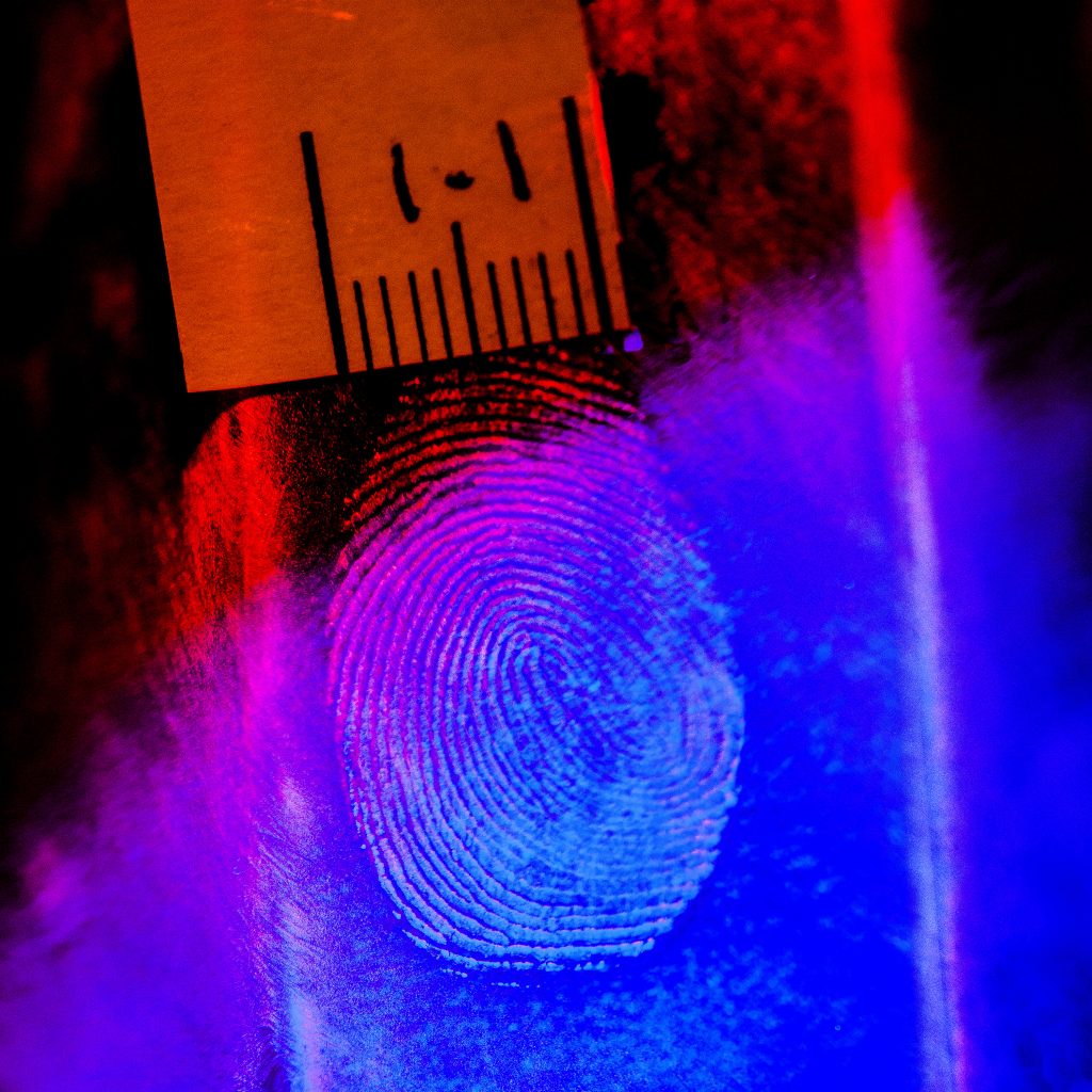 Forense 01