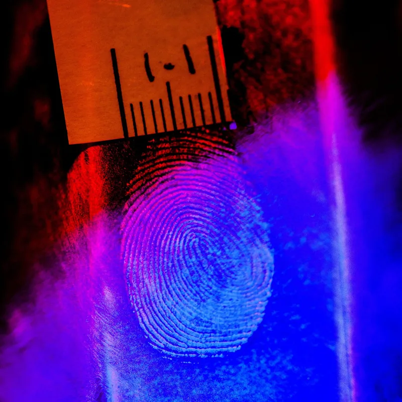 Fotografía forense